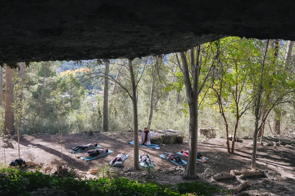 Yoga session in nature